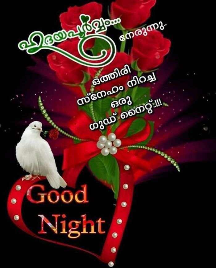pinterest good night images malayalam quote