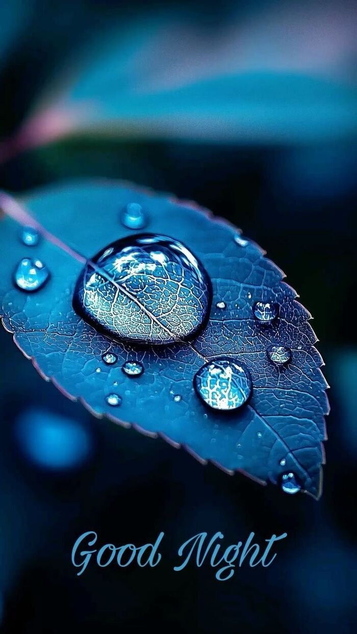 pinterest good night rain images quotes hd