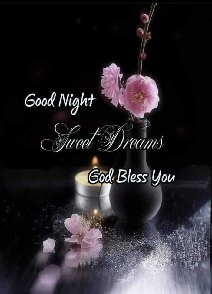 pinterest good night rose images