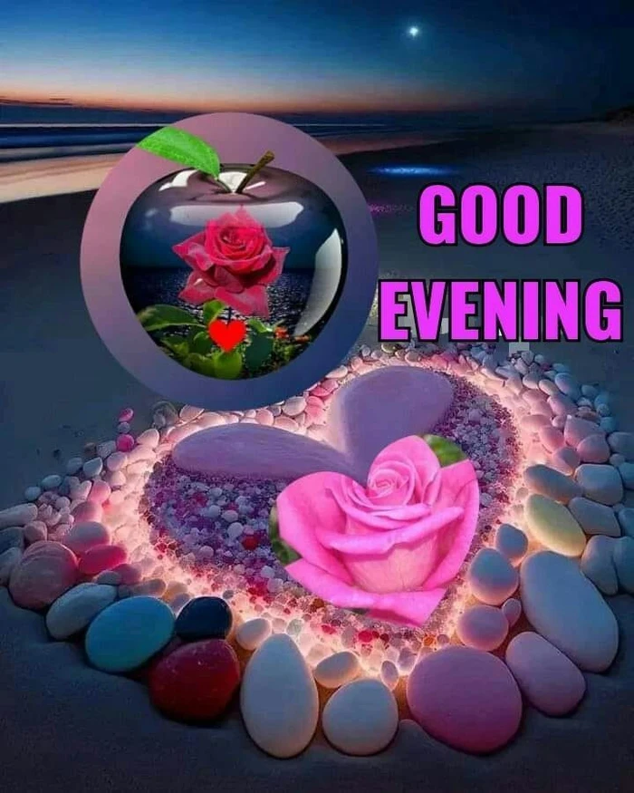romantic good evening rose image hd wallpaper gallery
