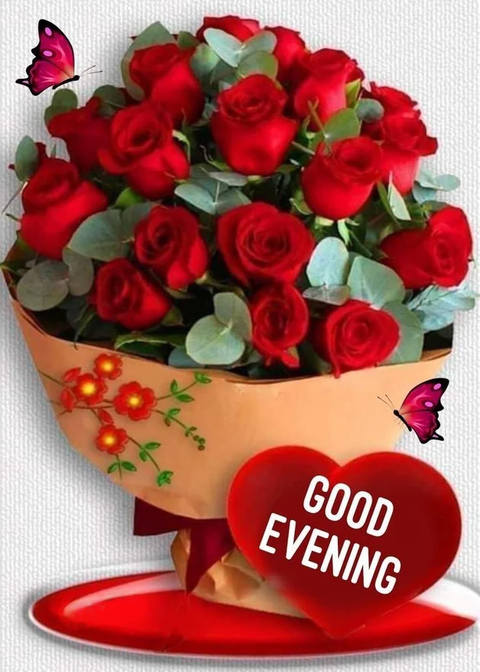 rose flower hd photos good evening wallpaper gallery