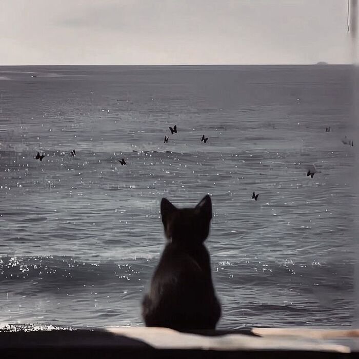 Processed with VSCO with dog1 preset