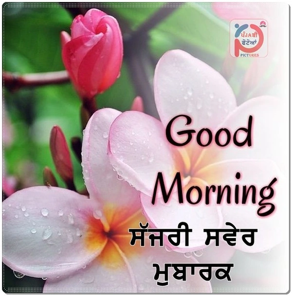 simple good morning images in punjabi