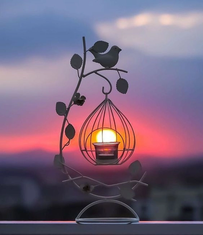 simple whatsapp dp in low light