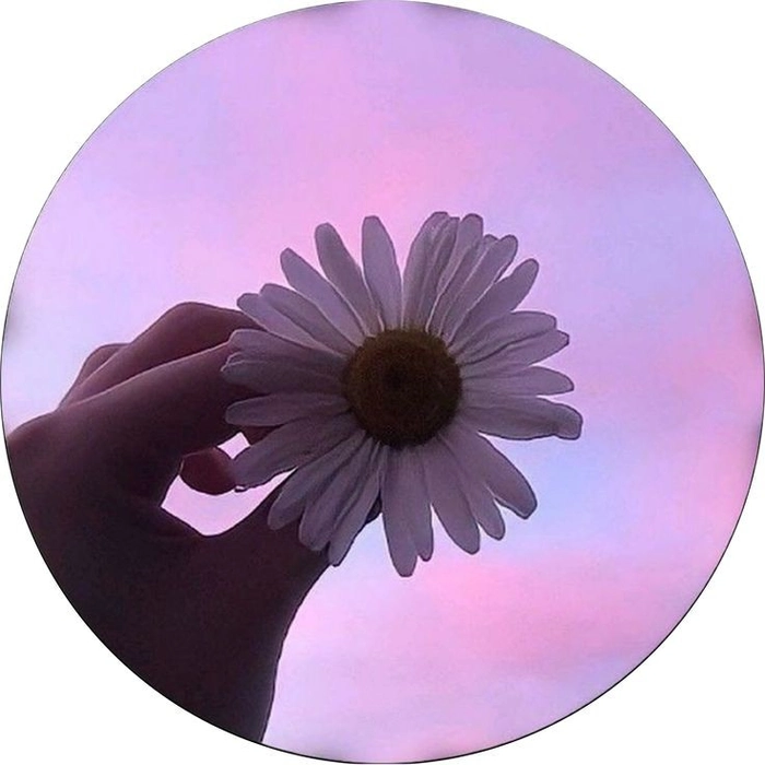 simple whatsapp dp minimal design