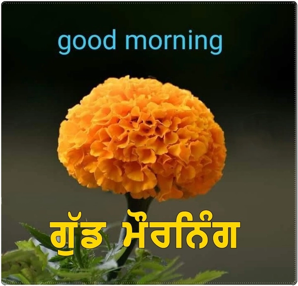 special good morning images in punjabi
