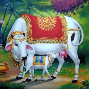 spiritual background with holy cow god hd photos free
