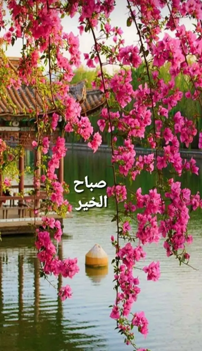 spiritual collection hd arabic good morning wallpapers