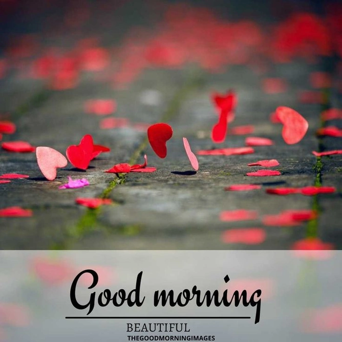 sweet darling good morning hd photos wallpaper collection (2)