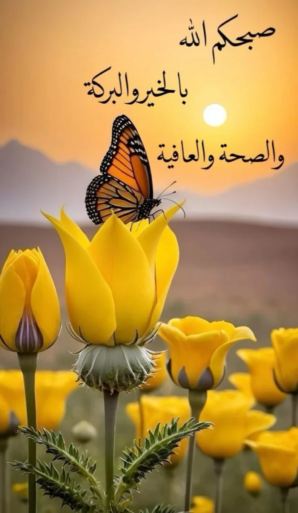 ultra hd arabic good morning photo wallpaper gallery