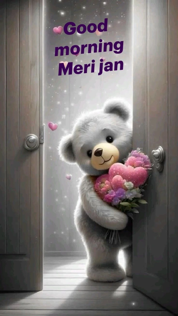 aesthetic good morning jaan image