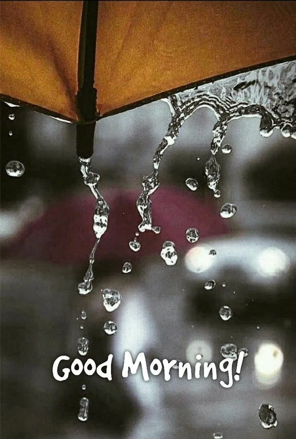 amazing good morning images rain