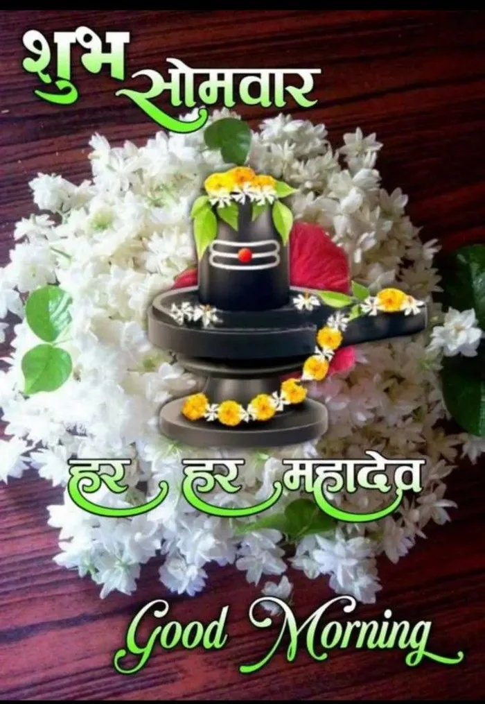 amazing good morning images with om namah shivaya