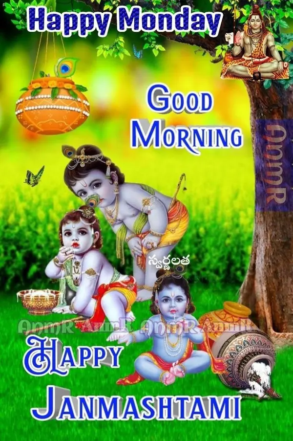 background happy janmashtami images hd download