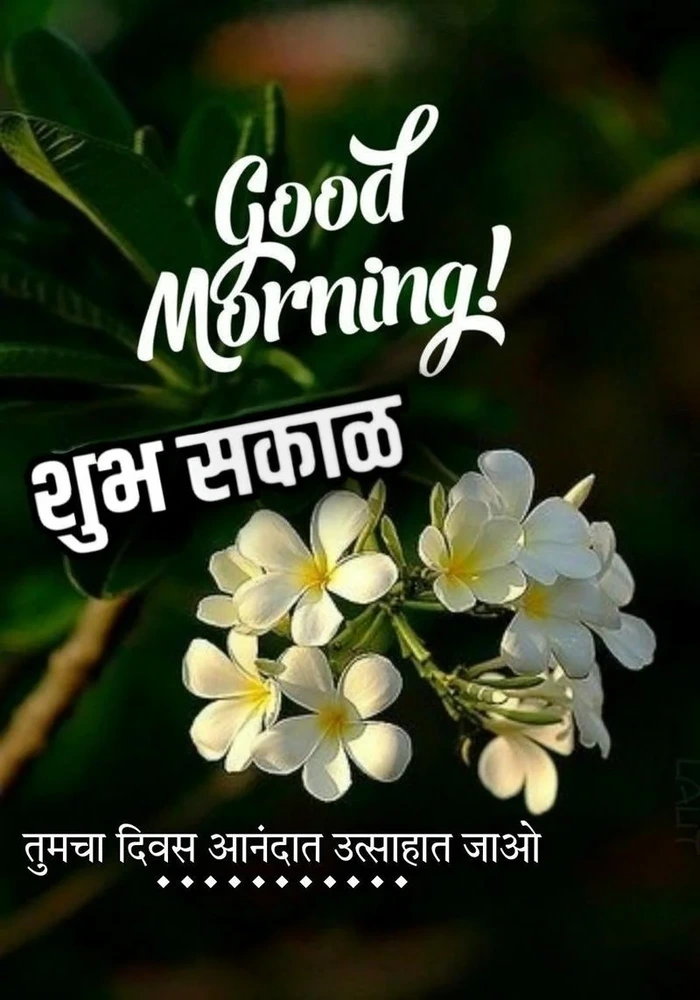 beautiful good morning images marathi new