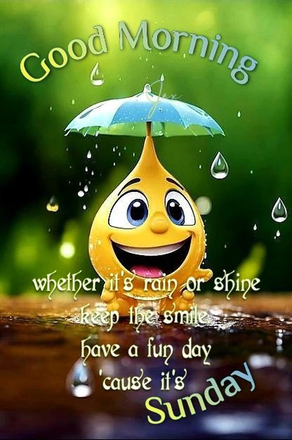 beautiful stylish good morning images rain