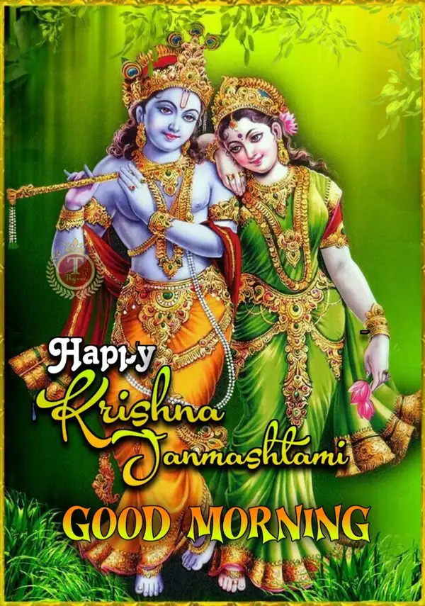 celebration happy janmashtami images hd