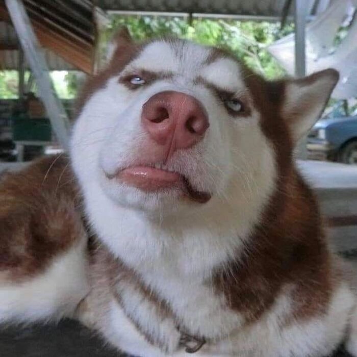 cute dp hot pinterest ig hd