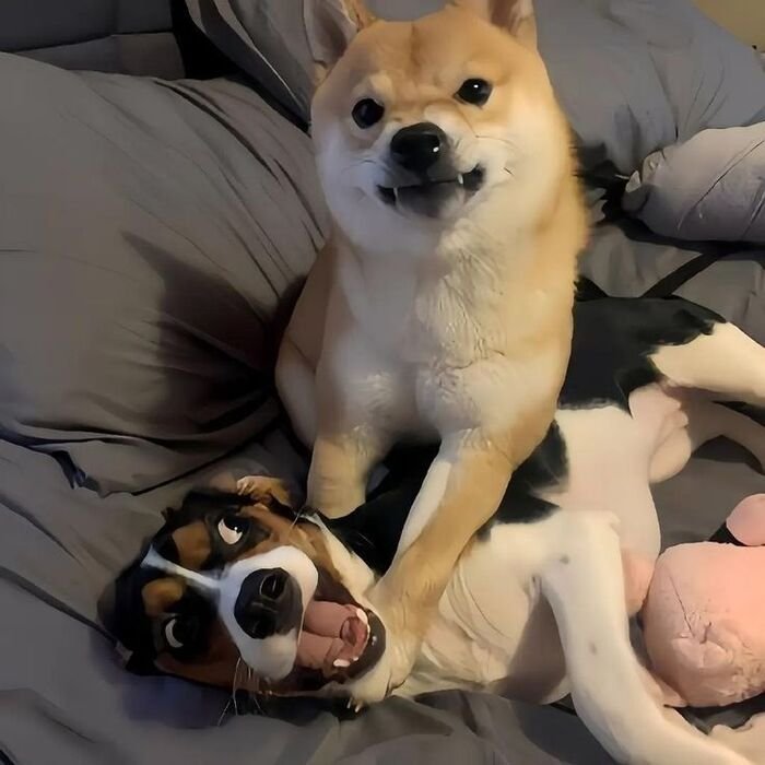 cute dp hot pinterest ins hd