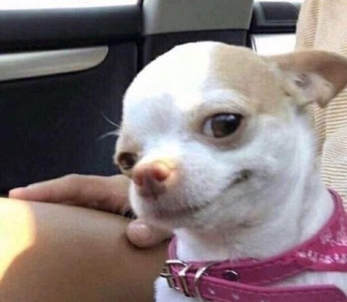 cute dp instagram aethetics hd