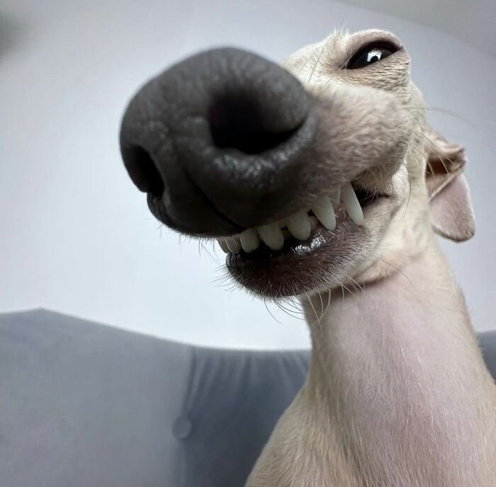 dp pic new aethetics full hd