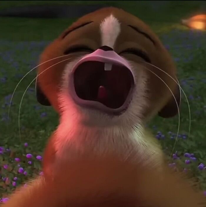 dp pic new aethetics hot full hd