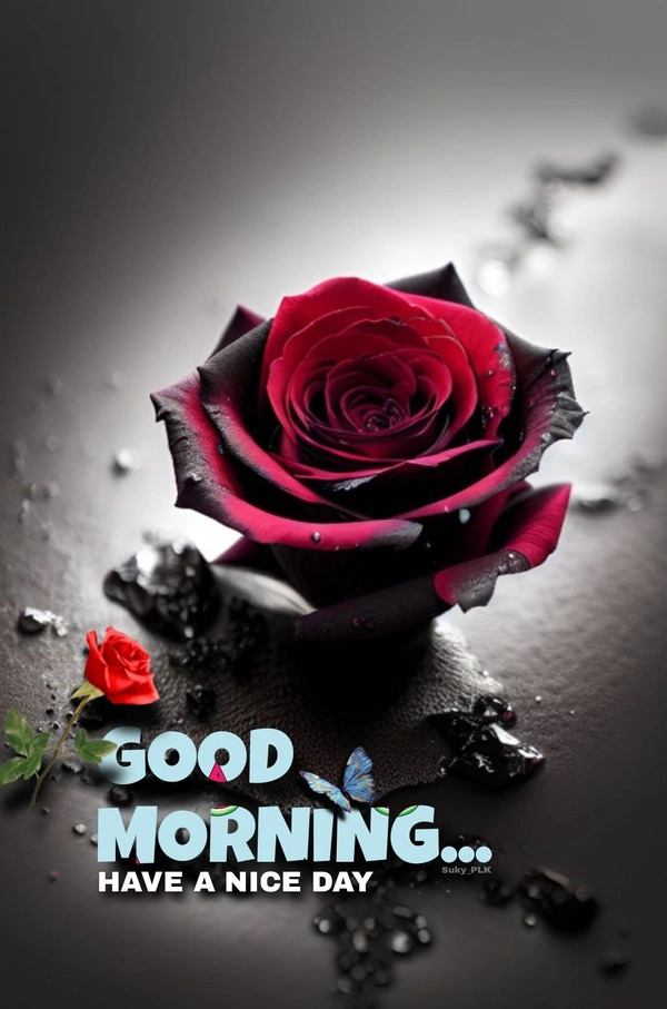 good morning jaan image hd quality