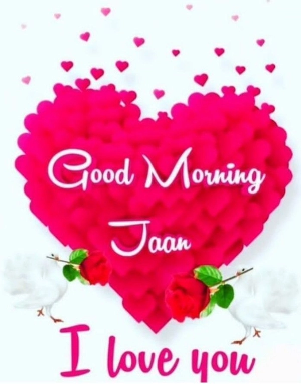 good morning jaan image peaceful vibes