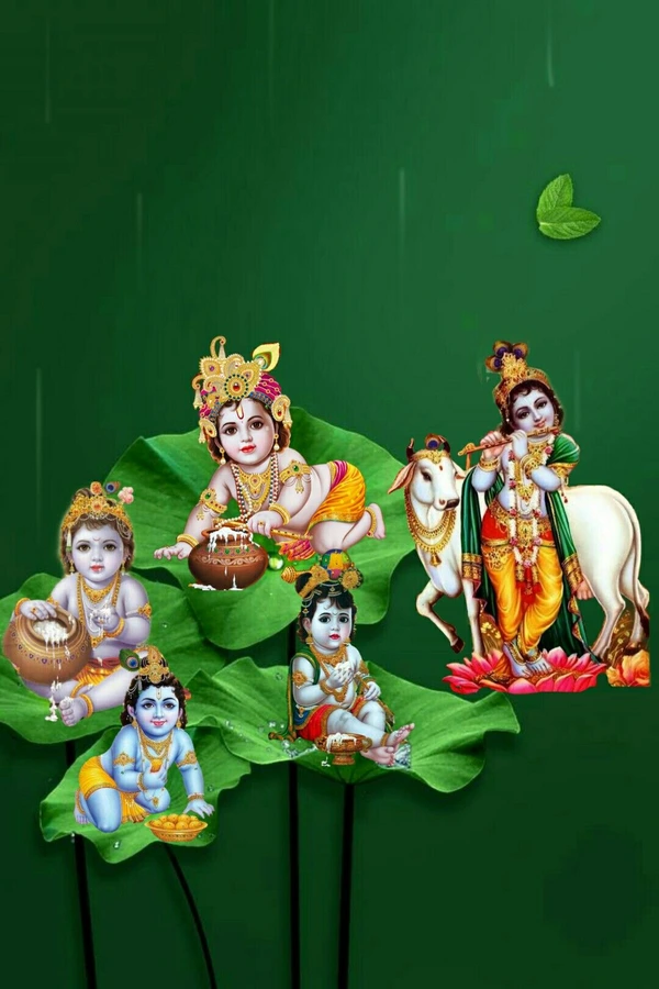 happy janmashtami images hd hd