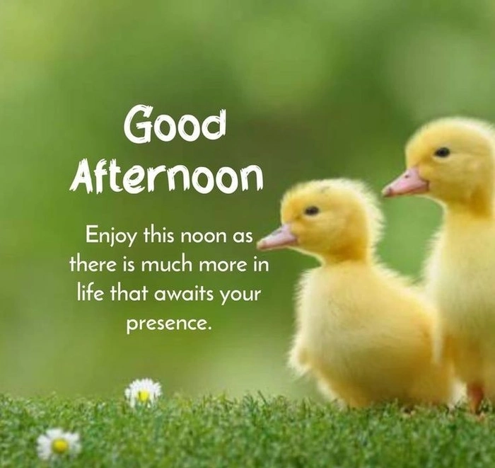 happy ram navami wishes images festival