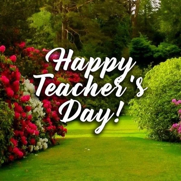happy teachers day wishes images quality