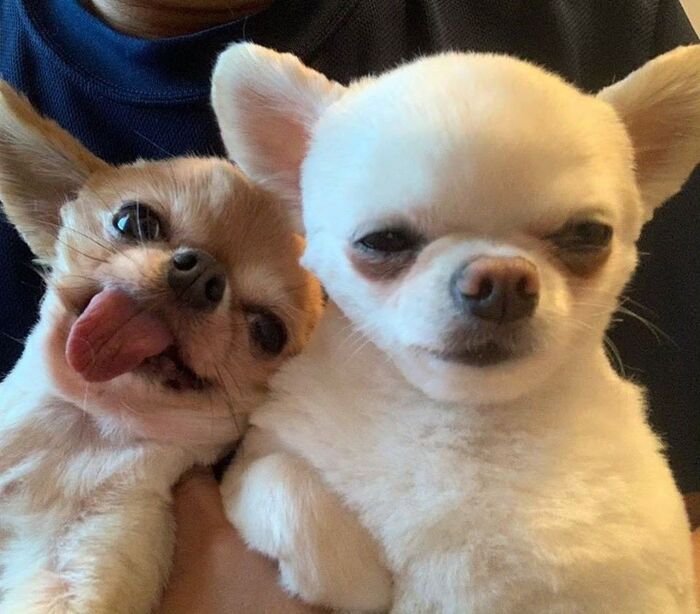 hd friendship dp funny hot