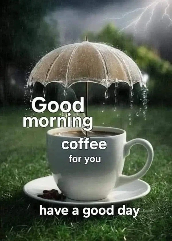 heart touching good morning images rain