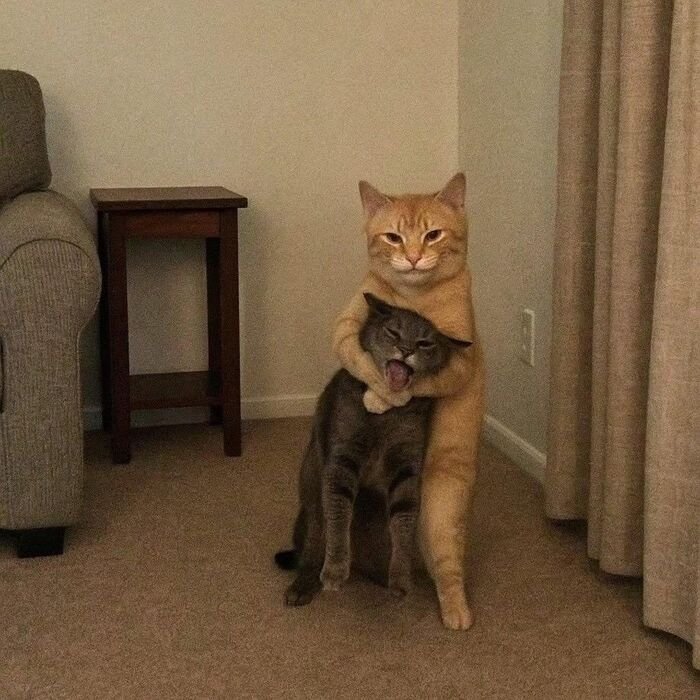 images for dp full hd