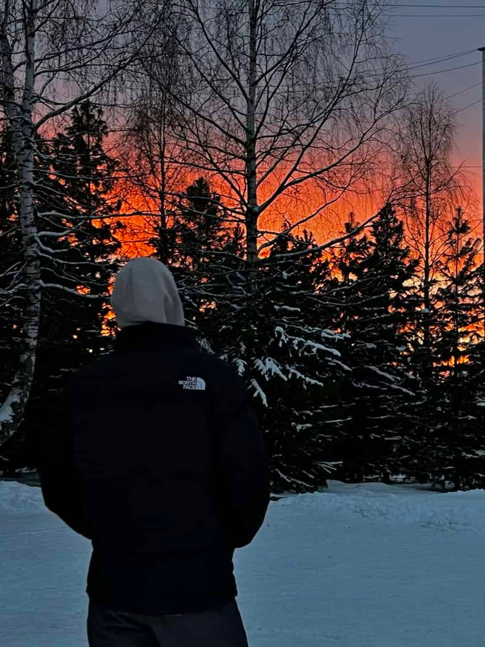 lonely broken heart boy dp