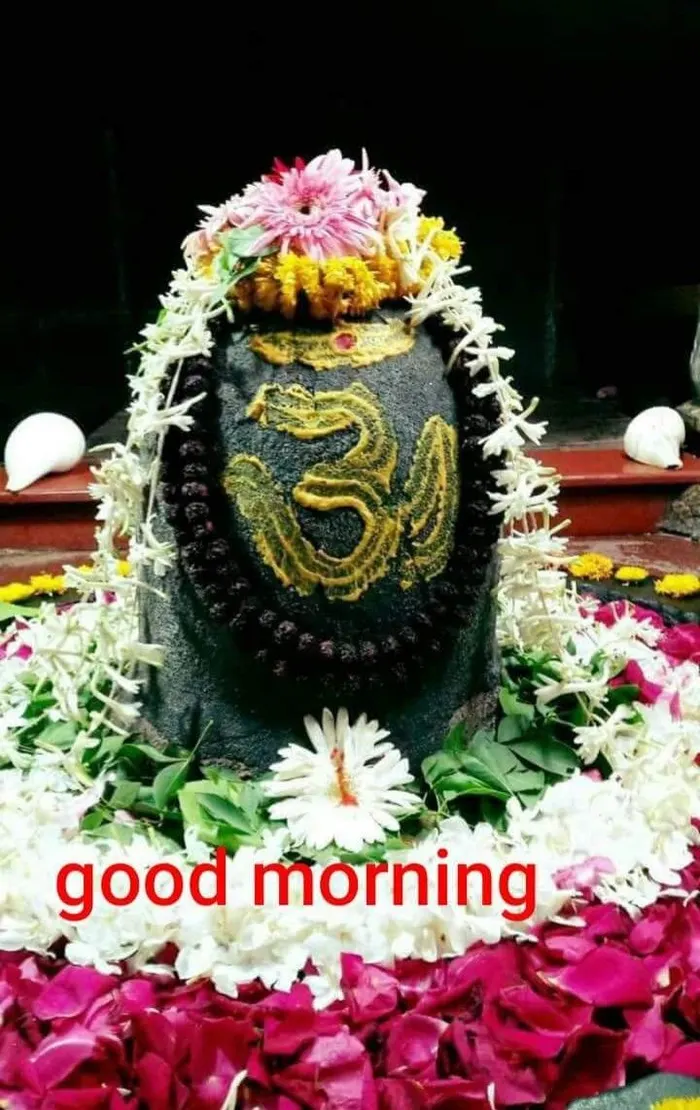 spiritual good morning images with om namah shivaya