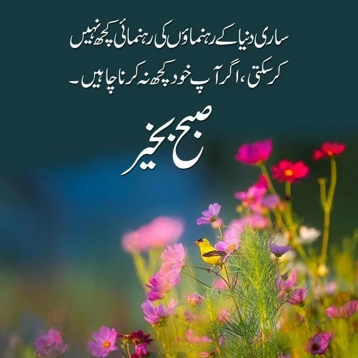 trending good morning images in urdu
