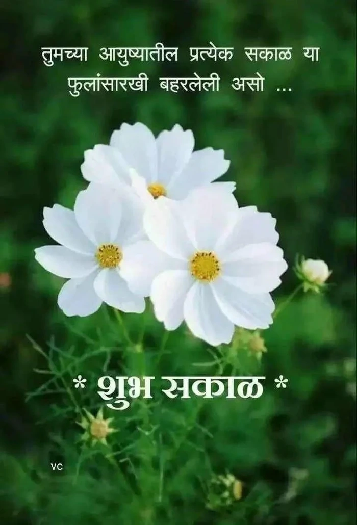 unique good morning images marathi new