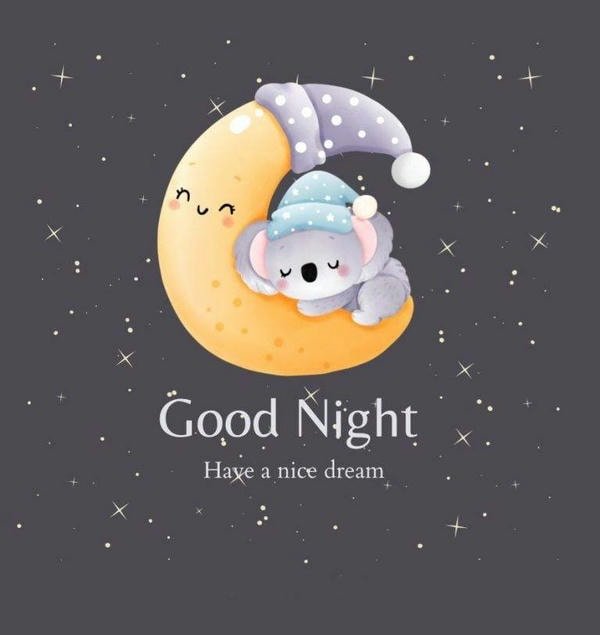 beautiful good night images with flowers