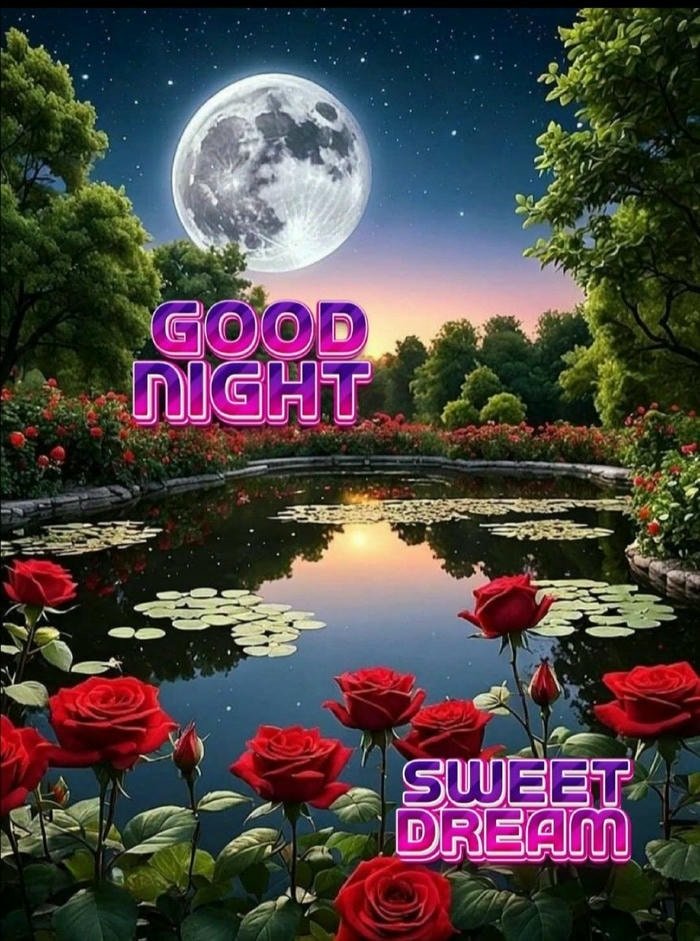 new good night latest with moonlight