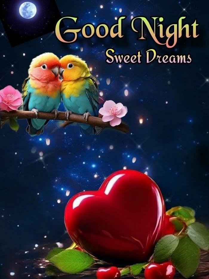 new good night latest with stars