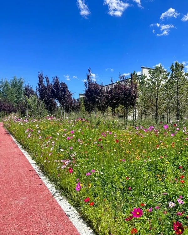 picture for dp aesthetic vibe