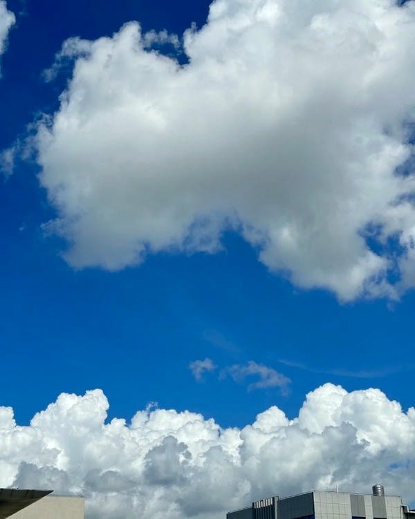 trending dp for status