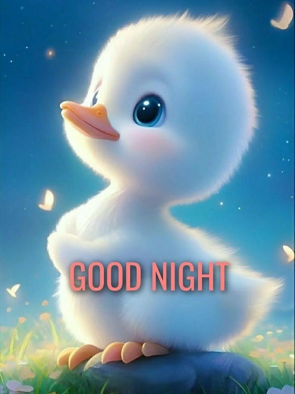 amazing good night images