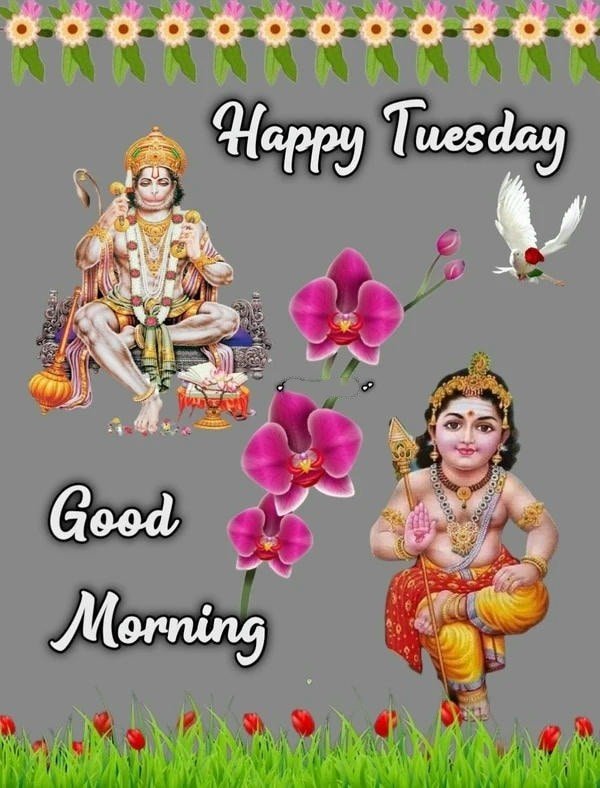 beautiful pics of navratri wishes images for desktop