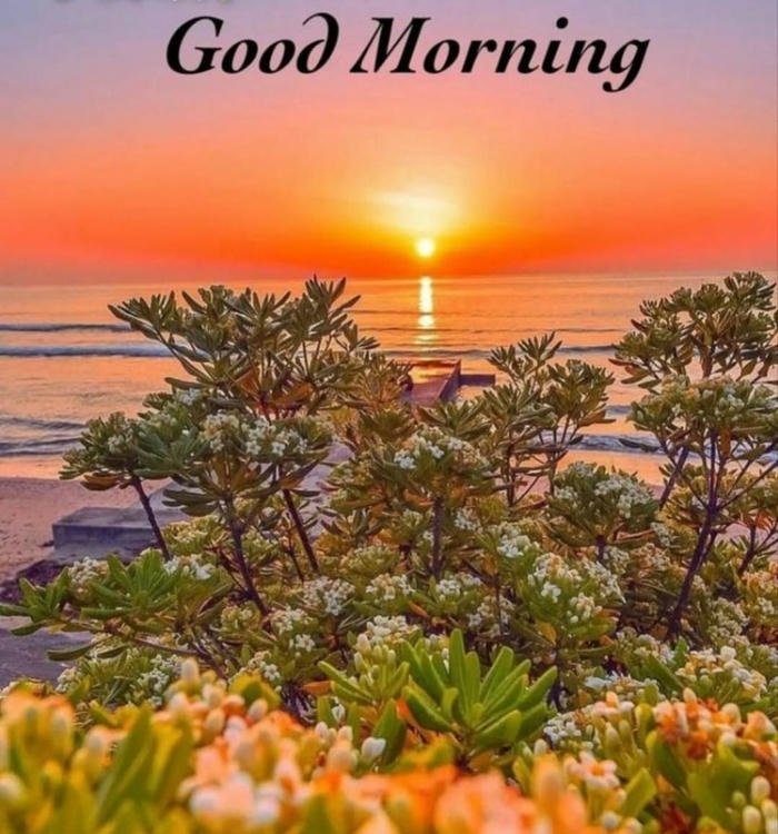 blessing nature cute beautiful morning good sunrise aesthetic images