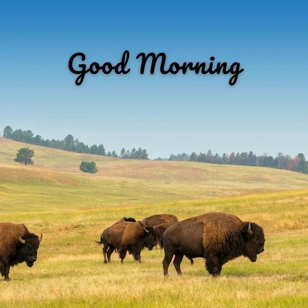 good morning village images high resolution