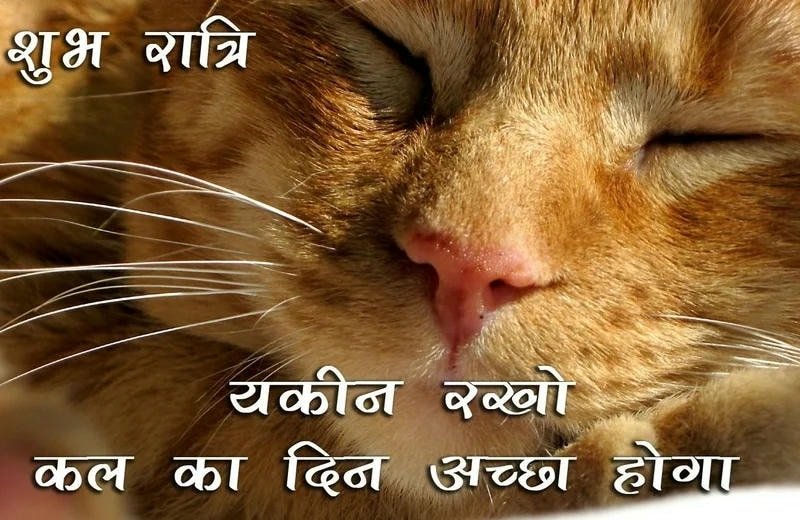 good night images in hindi hd