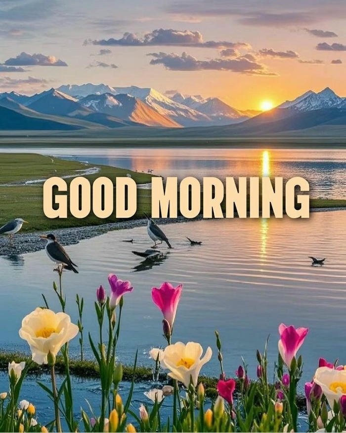 greeting sunrise images nature positive good morning smile aesthetic