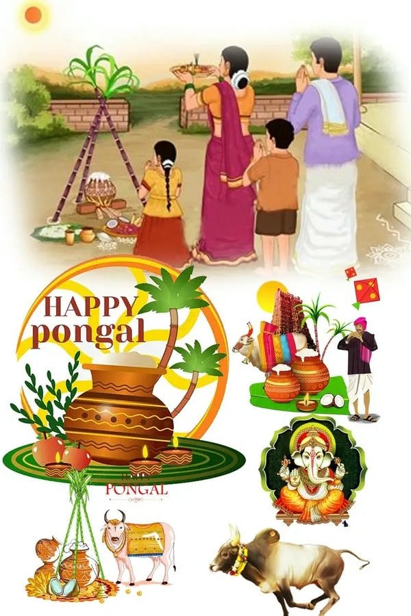 makar sankranti wishes images wallpapers hd